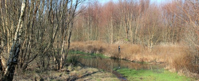 04 path under water, Kenfig Dunes, Ruth Livingstone