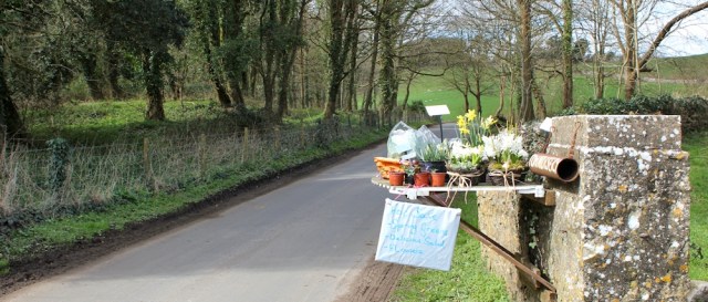 quiet road with little shop, Ruth walking through Merthyr Mawr