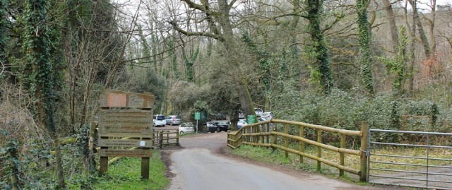  Methyr-mawr Warren, Nature Reserve, Ruth's coastal walk