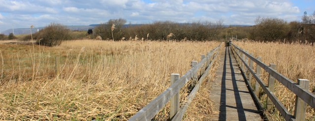 14 walkway across marshes, Ruth on the Wales Coast Path, Port Talbot