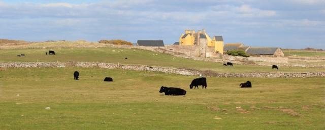 a07 remains of Sker House, Porthcawl, Ruth walking the coast around Wales