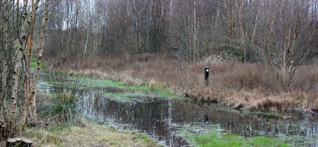 a12 bridleway under water, Kenfig Dunes, Ruth hiking in Wales