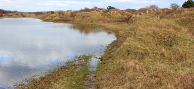  bridleway under water, Ruth in Kenfig Dunes, getting lost