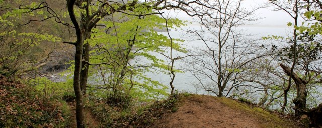 is this Oxwich Point, Ruth walking in Gower, South Wales