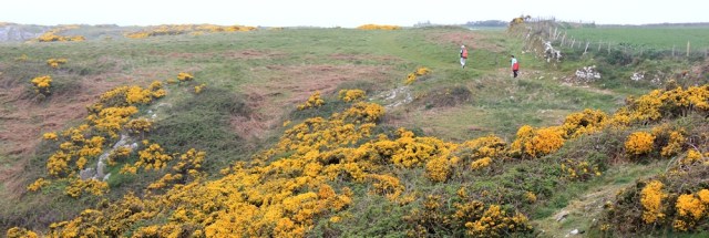 06 other walkers, Ruth walking towards Rhossili, Gower