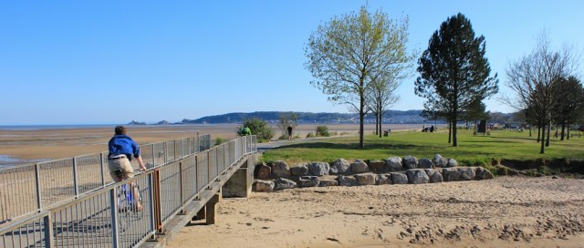 11 parkland, Black Pill, Swansea Bay, Ruth Livingstone