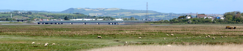 Loughor Bridge, Ruth Livingstone