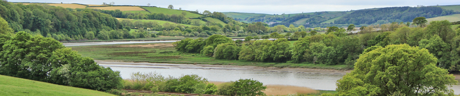 header, River Towy, Ruth Livingstone