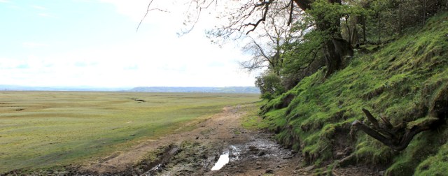 10 uninspiring slog, Ruth on north shore of Gower