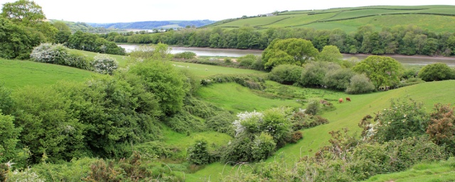 15 rolling fields, Ruth walking along the Wales Coast Path, River Towy