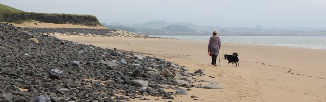 16 dog chasing sand, Ruth walking near Burry, Wales