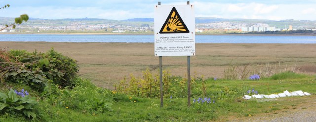 22 firing range and Japanese Knotweed, Ruth in Pen-clawdd