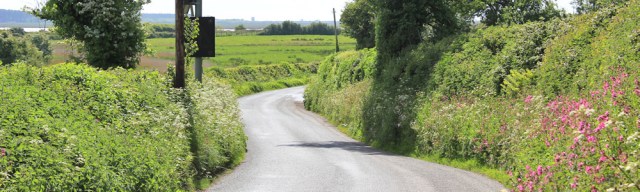a08 road with no path, Ruth on Wales Coast Path