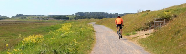  more dunes, cycle track through Pembrey Burrows, Ruth walking the Welsh coast