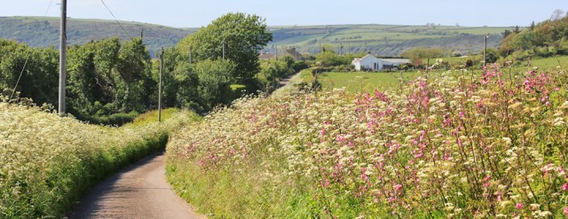 a11 quiet road to Ferryside, Ruth walking the Wales coast