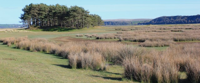 x09 marshlands, Whiteford Burrows, Ruth walking in Gower