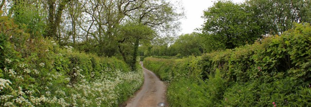01 country lanes near Llangain, Ruth on the Wales Coast Path