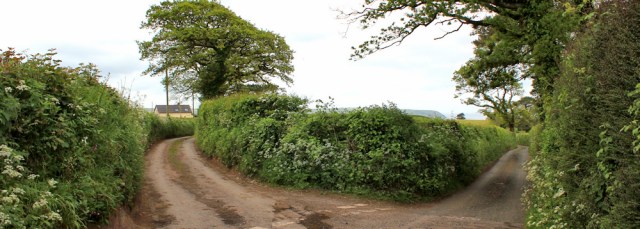 02 junction in road, Ruth Livingstone