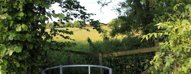 off the road, Ruth Livingstone on the Wales Coast Path