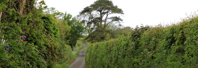 03 downhill on Wales Coast Path, Ruth hiking near Carmarthen
