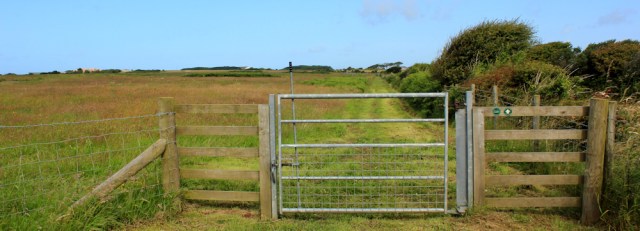 05 walking through meadows, Ruth in Castlemartin Ranges
