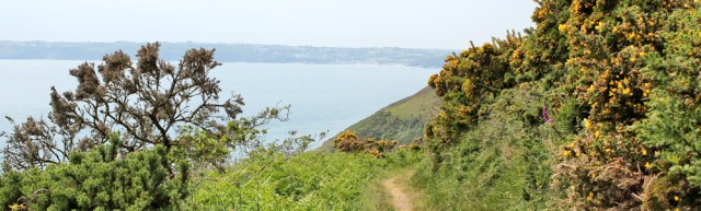 path around Marros Beacon, Ruth walking Wales Coast Path, towards Amroth