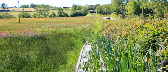 path beside road, Ruth on Wales coast path, Carmarthenshire