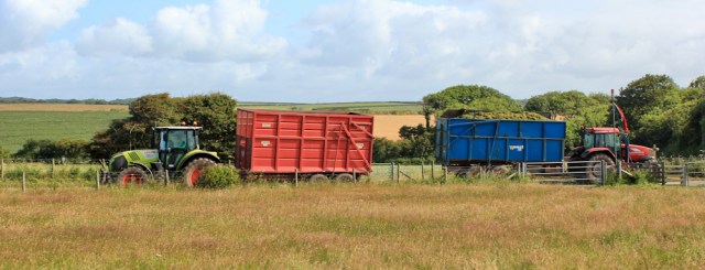 07 Tractors on road, Ruth Livingstone hiking through Pembrokeshire