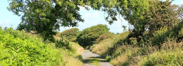 09 country lane, Ruth hiking in Pembrokeshire