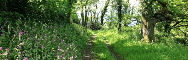 Tracks, Ruth on Wales Coast Path, towards Lugharne