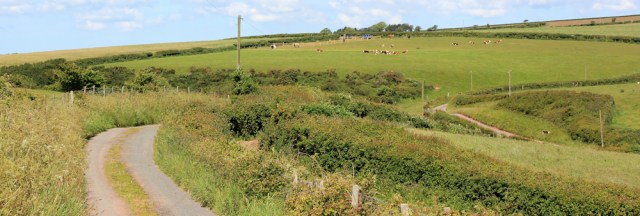 12 country roads, Wales Coast Path, Ruth walking up the Taf estuary