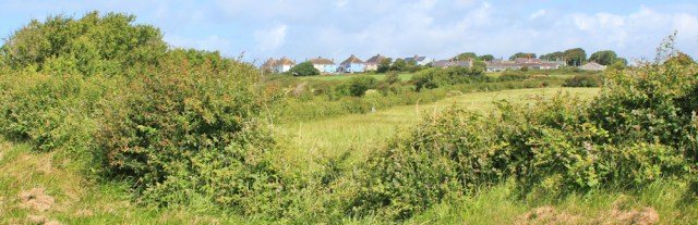 15 Castlemartin, Ruth walking the Pembrokeshire Coast Path