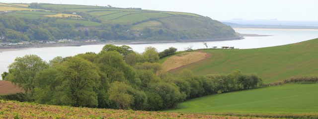 16 view over mouth of Towy, Worms Head, Ruth walking in Wales