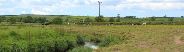 21 alternative route, through flood plain of Afon Cywyn, Ruth hiking in Wales