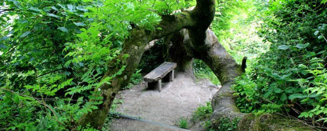going down, Ruth walking the coast