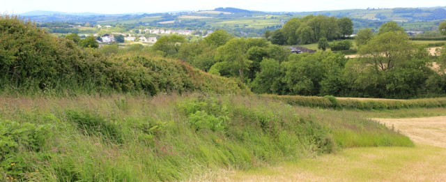 25 towards St Clears, Ruth walking in South Wales