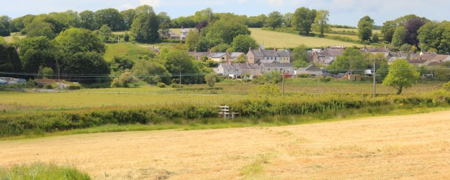 26 last field on Wales Coast Path to St Clears, Ruth Livingstone