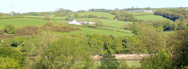 a13 view across Tovy River, Ruth walking in Carmarthenshire