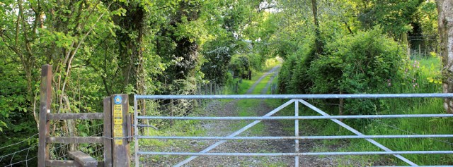 a14 track up to Llangain Church, Ruth walking in Wales