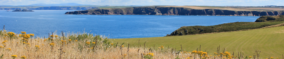 header, Ruth Livingstone, Marloes