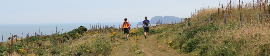 Header, St Davids, Ruth Livingstone