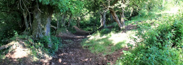03 muddy path, Ruth on Pembrokeshire Coast Path