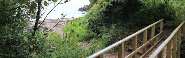 04 rocky shore through trees, Castlebeach Bay, Ruth walking to St Ann's Head, Wales
