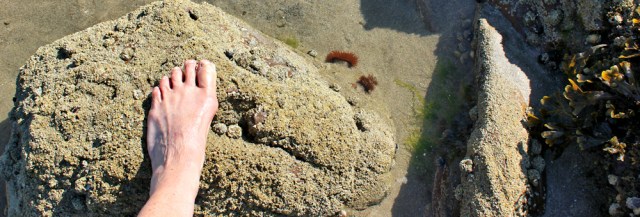 05 drying feet, Ruth's coastal walk, Wales