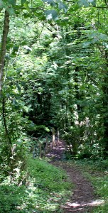 old lanes, Ruth hiking in Pembrokeshire
