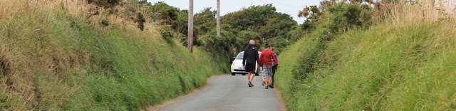 19 walking up to St Davids, narrow lane