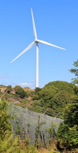  Wind Turbines, Milford Haven, Ruth Livingstone