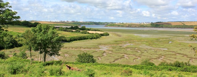 view across marsh and Pembroke River, Ruth Livingstone