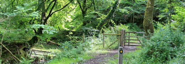 sunken valleys, Ruth hiking in Pembrokeshire