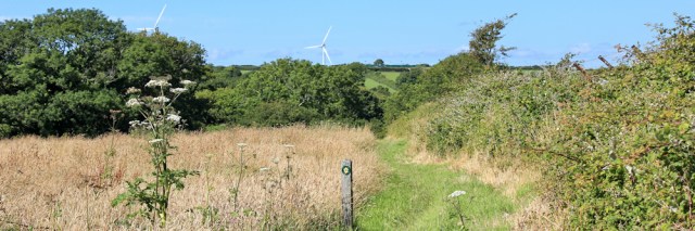 23 Pembrokeshire Coast Path, towards Milford Haven, Ruth hiking in Wales